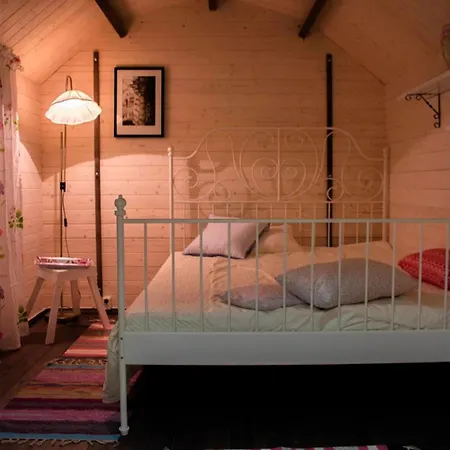 Little Tundra להטי